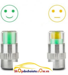 Van Báo áp suất lốp Van Báo áp suất lốp