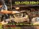 Sửa chữa đèn ô tô, sửa chữa đèn pha, đèn hậu Sửa chữa đèn ô tô, sửa chữa đèn pha, đèn hậu